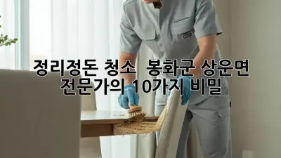 정리정돈 청소 : 봉화군 상운면 전문가의 10가지 비밀